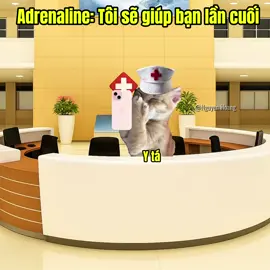 Adrenaline:tôi sẽ giúp bạn lần cuối#meme#cat#pet