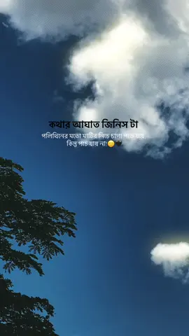 কথার আঘাত জিনিস টা পলিথিনের মতো মাটির নিচে চাপা পড়ে যায়, কিন্তু পচে যায় না!🙂🖤#fypシ゚viral #bdtiktokofficial🇧🇩 #foryoupage❤️❤️ #foryou #growmyaccount✅ #foryoupageofficial #bdtiktok @TikTok @TikTok Trends 