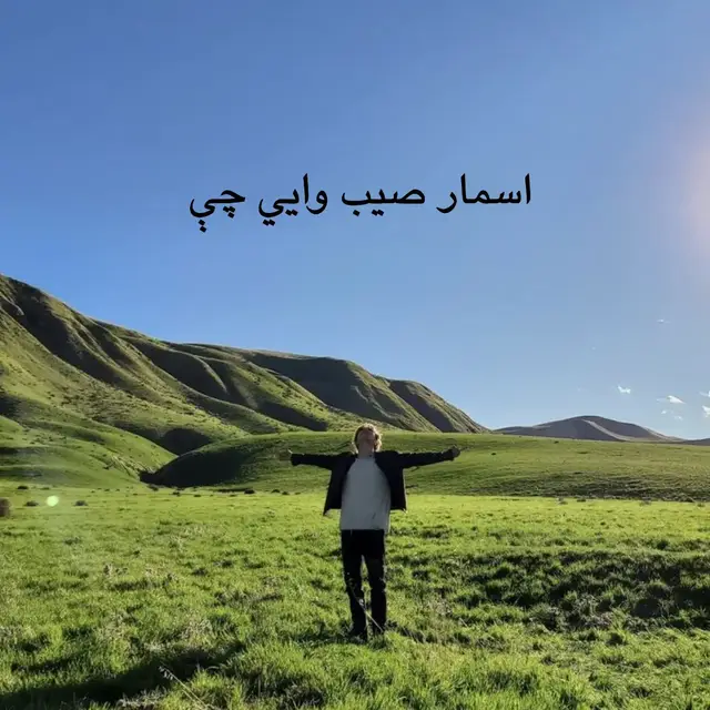 #poshtoghazal #poshto_poetry #poshtobayan #poshto❤️ #fvpviral #poshtosong #foryoupageofficiall #lewanootypist2 #poshtofunny #foryou #poshtoon #poshtoline #pashtoonculture #poshto #fvyp 