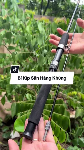 Cần 2 Khúc Đặc Siêu Tải Tĩnh 8kg Shimano  Scabarb Cần Câu Cá, Cần Câu Siêu Khỏe #anhdaofishing #cancauca 