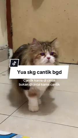 Mamak aja gk nyangka yua bisa secantik ini 🥹