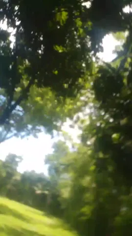 আমি ও কলাম😏😏🥲