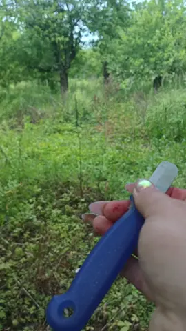 #яимояжизнь... 