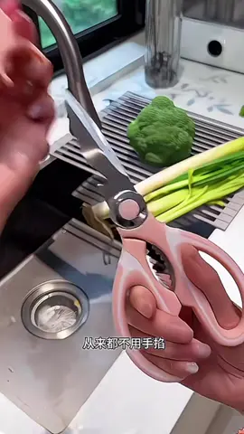 Multi-functional Household Chicken Bone ScissorsStainless Steel, Sharp, Suitable for Cracking WalnutsKitchen Use, Thickened Design, Chicken Bone Shears #scissors ##scissorsstainlesssteel##StainlessSteel##Multifunctional##Household##cutting##ChickenBone##Sharp##crackingwalnuts##Kitchen##thickeneddesign##Shears##多功能剪刀##不锈钢剪刀##不锈钢材质##锋利##鸡骨剪刀##开核桃##厨房##加厚设计##好物分享##分享好物##好物推荐##推荐好物##热门推荐##上热门##热门##Tiktokshop##Tiktok