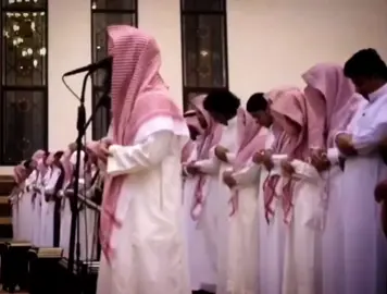 #الشيخ_محمد_اللحيدان_حفظه_الله #القرآن_الكريم #سورة_الفتح #تلاوة_خاشعة #قرآن #قرآن #quran #محمد_اللحيدان #النبرة_اللحيدانية 