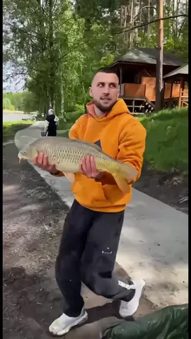 Type Amen🤲🕊#amen #prayers #christiantiktok 