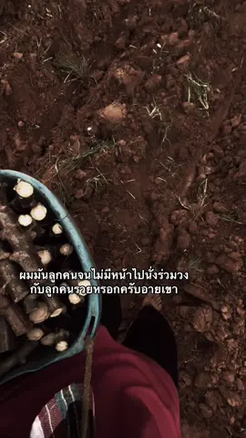 #เธรด #สตอรี่ #ฟีดดดシ #ยืมลงสตอรี่ได้ #เอาขึ้นหน้าฟีดที #fypシ゚ #ฟีดดดดด 