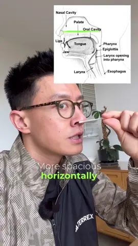 Let me know if this breathing cue changed things for you. #breathwork #functional #breathing #nasal #fyp #fypage