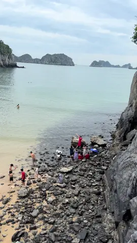 Cát Bà Flamingo 2025 #catba #hảiphòng #2025 