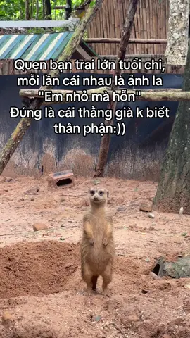 Già mà không chịu già #GreenCreator #Vinpearl #VinpearlGolf #VinWonders #WonderSummer2025 #dulich#nlx1sws