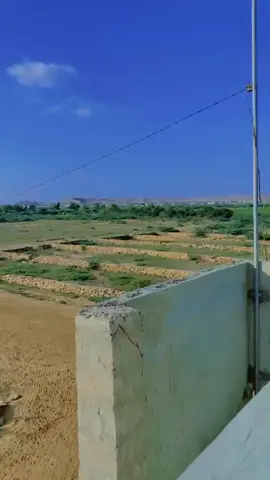 m mubeen