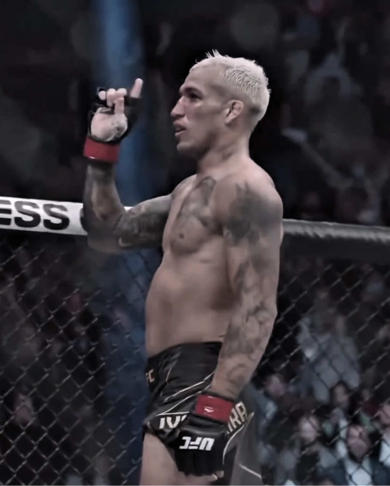 charles oliveira 💀🔥 #charlesoliveira #dobronx #charles #iliatopuria #fyp #viral #foryou #UFC #ufcedit #edit #mma #ufcbrasil #ufc317 #aura #ufcchampion 