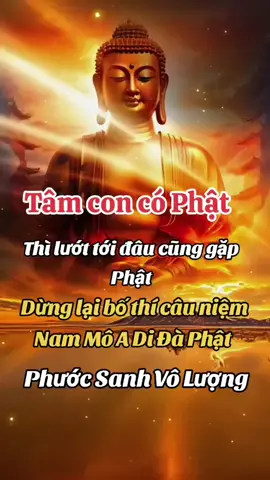 Nam Mô A Di Đà Phật 🙏🙏🙏 #phatphapnhiemmau #khannguyen #anlanh #binhan #mayman  #caubinhandenmoinguoi🙏 