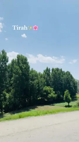 Pukhtoonkhwa 🫀 🏔️.                              #pukhtoonkhwa #tirah#homeland #tirahvalley#trendingtiktok #trendingsong#pashtosongs#view#nature#travel#foryou#afridi#bilalafridi227#peshawar#pakhtoon#bara#khyber#landikotal#orakzai#viralvideo#pakistan #lines 
