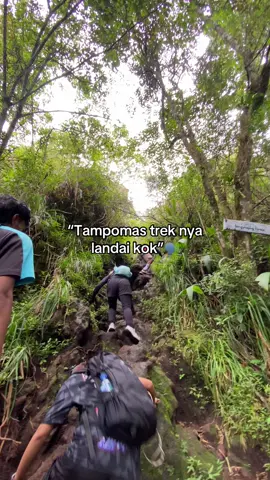 Trek nya landai kok ramah buat pemula🗣️ #sumedang #fomo #pendakigunung #tektokgunung #tampomas 