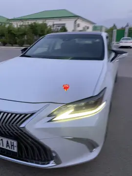 Lexus😍❤️‍🔥