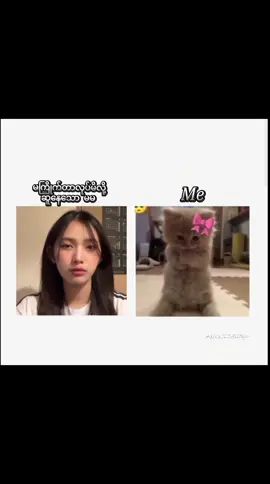 အရမ်း ဆူဒယ်🙁 #fypシ゚ #မမဝေဒနာ #foryou #tiktok2025 #foryoupage #crd 