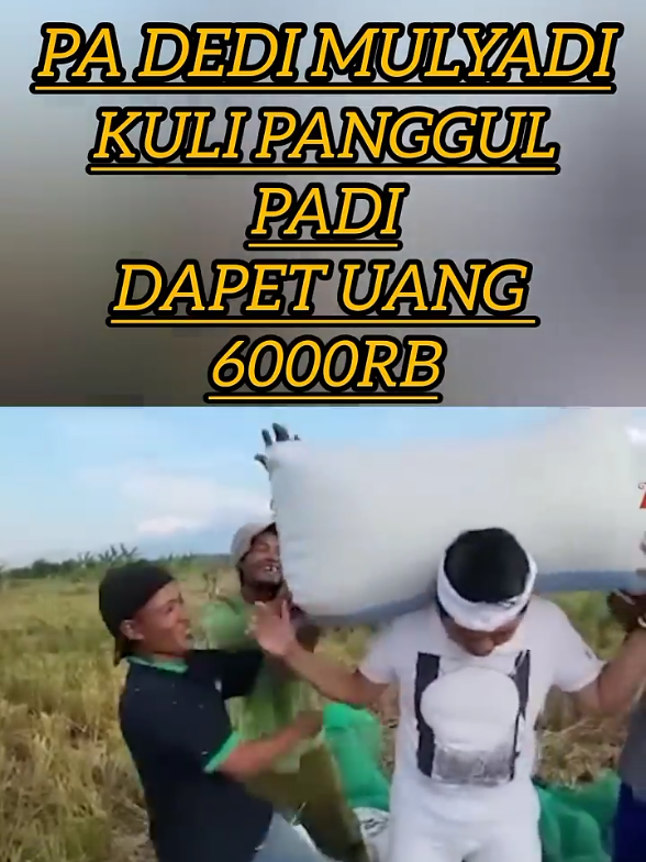 Dedi Mulyadi jadi kuli panggul disawah #dedimulyadi #kangdedimulyadi #kdm #gubernurjawabarat #jawabarat #tranding 