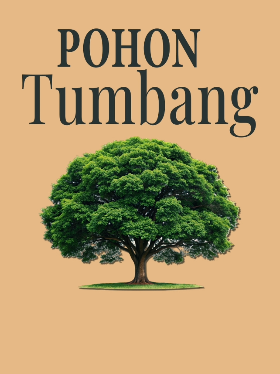 ketika hutan ditebang, banjir pun datang  #hutan #banjir  #aftereffects #motiongraphics #portofolio #animation #fyp 