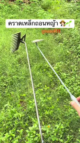 ของมาเติมแล้ว👩🏻‍🌾🌱 เครื่องช่วยกำจัดวัชพืช คราดเหล็กมือเสือถอนหญ้า ออกง่ายมาก ทุ่นแรงไปได้เยอะ ราคาไม่แพง แนะนำ‼️ #คราดเหล็กถางหญ้า #คราดถอนหญ้า #คราดถอนวัชพืช #กําจัดวัชพีช #คราดเหล็กถากหญ้า #คราดมือเสือ #ที่ถอนหญ้า #คราดหญ้าสแตนเลส #เกษตรกร #ของดีบอกต่อ #ttsร้านใหม่ลดแรง #TikTokShopช้อปนำเทรนด์ #รีวิวของดีบอกต่อ #เลเวลอัพกับtts #ttsเลเวลอัป #แพรวศิปา🌞 