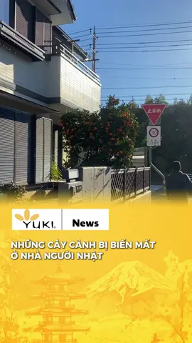 Không phải cái cây nào cũng có thể ăn được #yukicenter #nhatban #tintucnhatban #duhocsinh #tokutei #japan