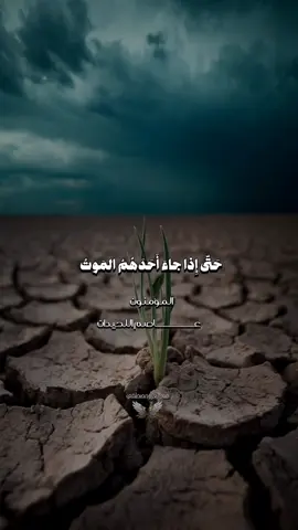سورة المؤمنون|| عاصم اللحيدان 🍂💚  . . . . . #قران #عاصم_اللحيدان #قران_كريم #quran 