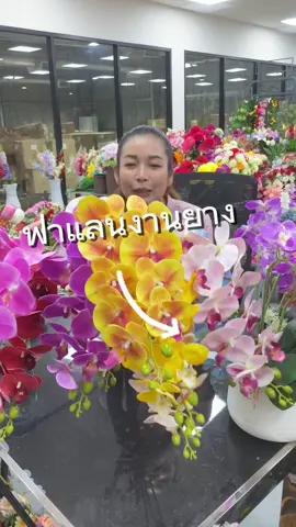 ฟาแลนงานยาง สวยจึ้ง หน้าดอกใหญ่ เหมือนจริงสุดๆ มีหลายสีในตะกร้า จิ้มเลยน้า #pkflowershop #ดอกไม้ #ดอกไม้ประดิษฐ์ #ของตกแต่งช่อ #โปรโมชั่น #ถูกและดีมีอยู่จริง #กล้วยไม้ #สวย #คุ้มมาก  