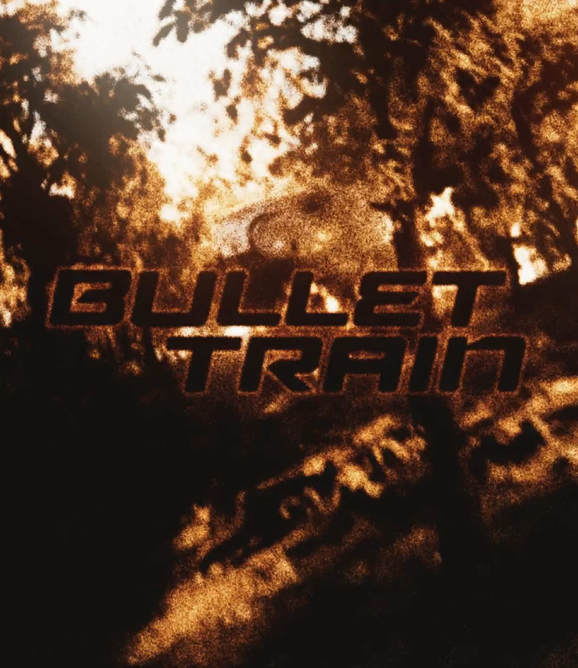 Peak movie #edit #bullettrain 