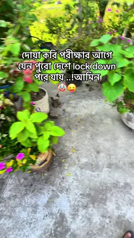 Ho vaiiii কিসুই পারি না ফেল করমু 😩#🐸🐸 #hsc2025 #foryou #foryoupage 