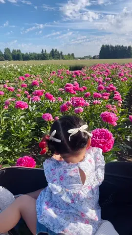 I'll forever cherish those beautiful moments 🥹💐🧺🌸🌥 #fyp #motherhood  #firsttimemom #babygirl #bestfriend #Love #flowers #mommydaughter #momlife #girlmom #bestie  #girlmom 