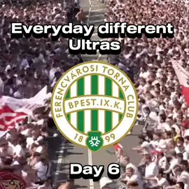 Day 6 #ultras #ferencvaros #fy