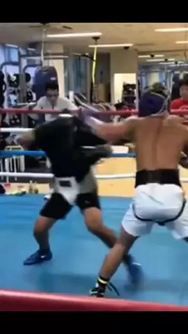 amazing speed 🥊 #boxing #monster #naoyainoue #speed 