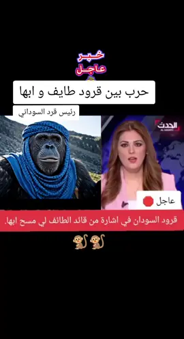 خبر عاجل #مستشفى #حربي_ابن_العاشر🔥🧿 #حرب #السودان #ابها #طايف #قرود_ابها 