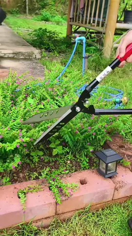 #กรรไกร #กรรไกรตัดหญ้า #กรรไกรตัดพุ่มไม้ #กรรไกรตัดกิ่งไม้ 