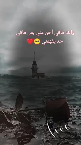 #ترند_تيك_توك #CapCut 