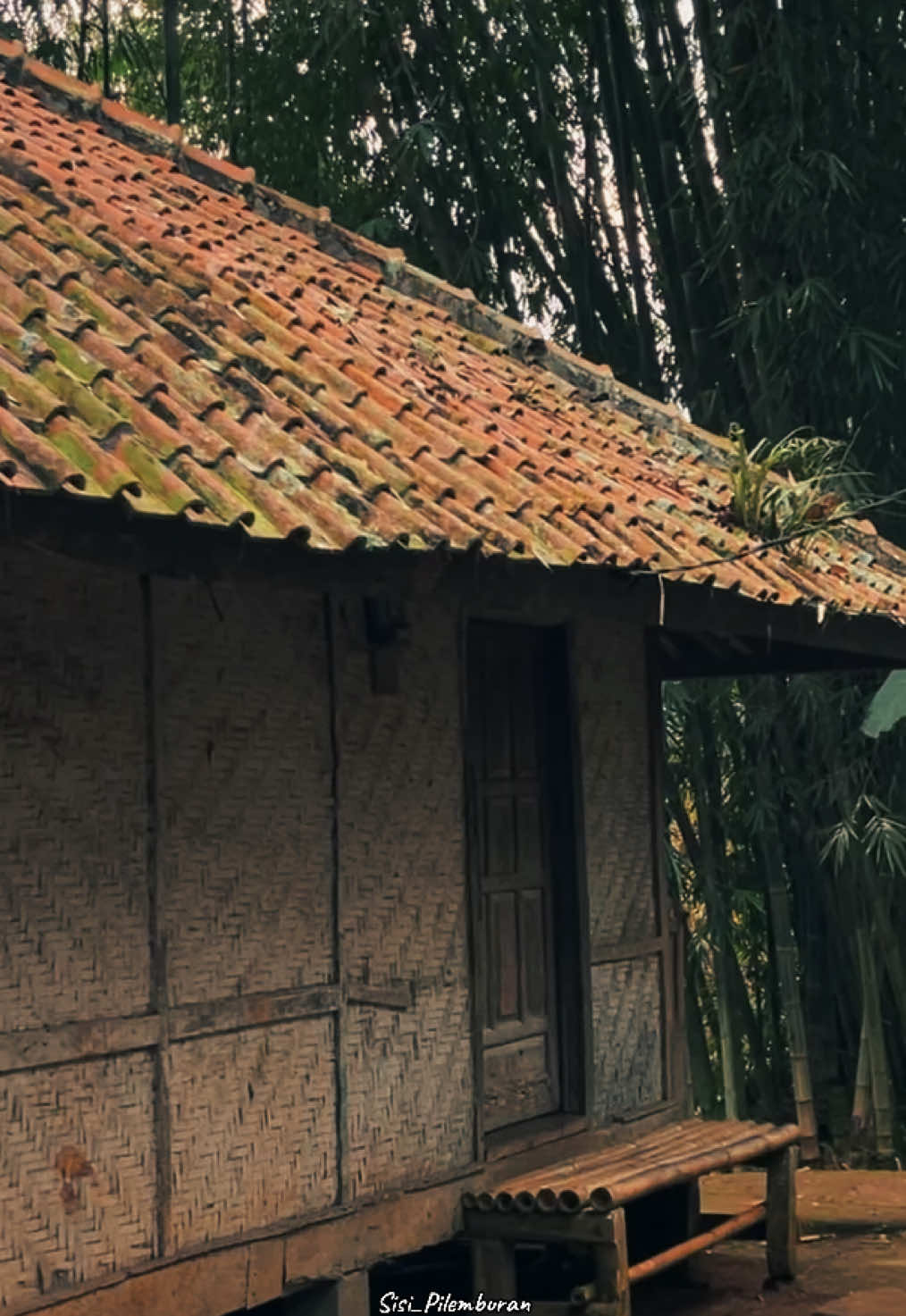 #dakwahkawih #kawihsunda #cicihcangkurileung #pepelingdiri #pepelinghirup #pepelingsunda #sisipilemburan #suasanapedesaan #kampungindah #jawabarat #garututara #fypシ゚  📍Kp Nagrak Girimukti Cibatu Garut Jawa Barat