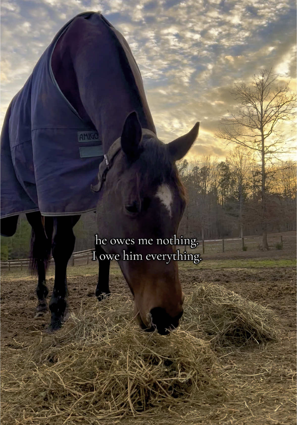 I couldn’t care less if he never steps foot in the show pen again, and I’ll put my own wishes to climb on his back aside for his peace.  It’s the fear that he’s always going to be uncomfortable, no matter what life looks like for him, that eats me alive.  ❤️‍🩹