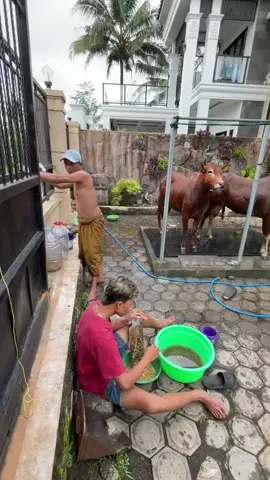 SektorSelatanDiTuju🤲#panalebet🔥🚀 