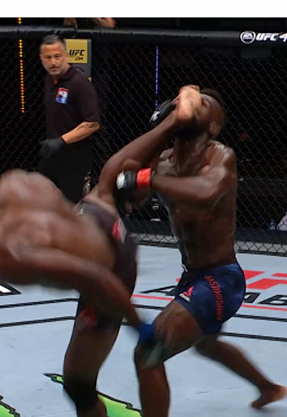 😱 Самый невероятный нокаут в UFC! #UFC #UFCAtlanta #MMA #unbelievable #kick #ko #viral #martialarts #combatsports #epic #brutal 