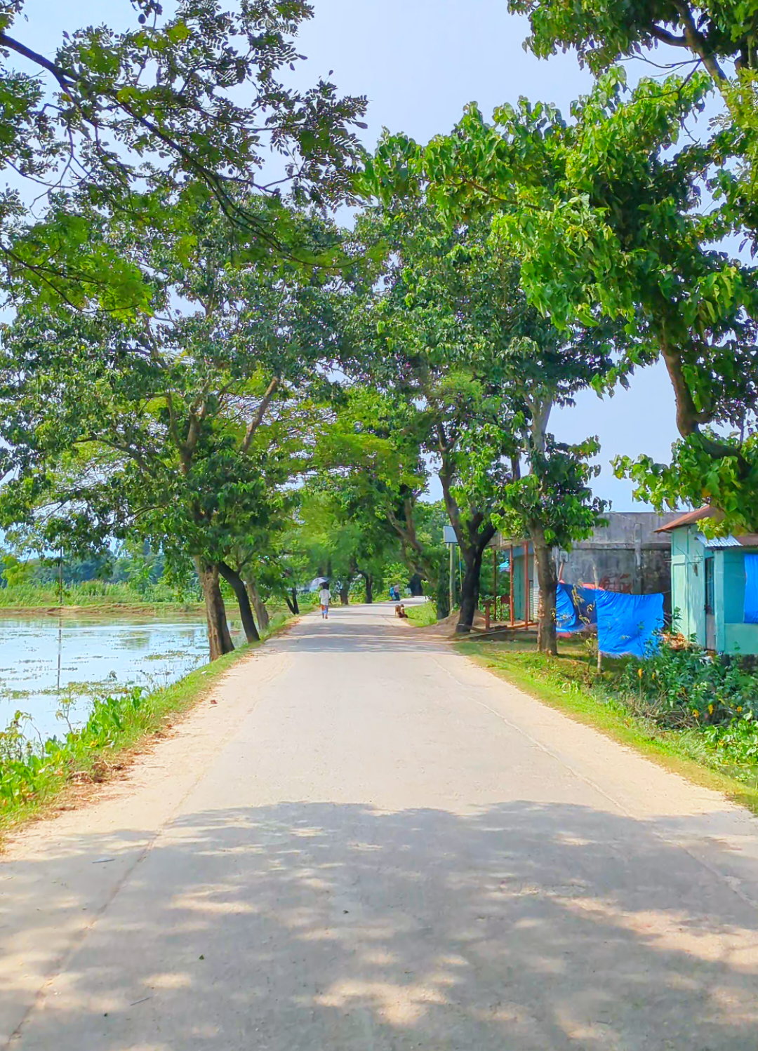 কতো সুন্দর প্রকৃতির অপরূপ সৌন্দর্য,,🌿🌿 #netural #viwes #place #foryou #viraltiktok #foryoupage #fyp #fypage #foryoupageofficiall #fyppppppppppppppppppppppp #গ্রামবাংলা #viral #প্রকৃতির_অপূর্ব_সৌন্দর্য🥰 #unfreezemyacount #bdtiktokofficial🇧🇩 