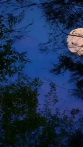 regeupkeun baraya🥺#ceramahsunda #fypage 