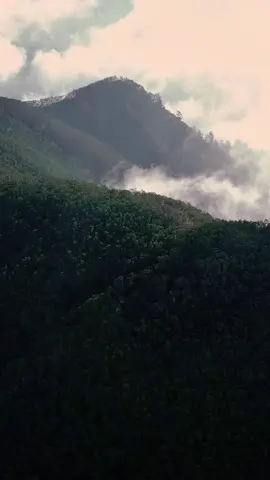 Akhir dari ekspedisi ke sebuah gunung misterius di sebelah Gunung Raung (yang kemungkinan besar belum pernah kamu dengar sebelumnya) sudah bisa ditonton di channel saya. Selamat mendaki online