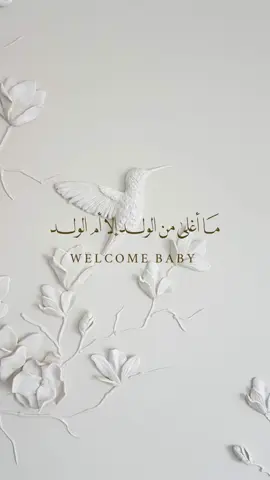 بشارة حفيد #بشارات_الكترونيه #بشارات_مواليد #بشارة_مولود #تصاميم_بدون_موسيقى #دعوات_الكترونيه 