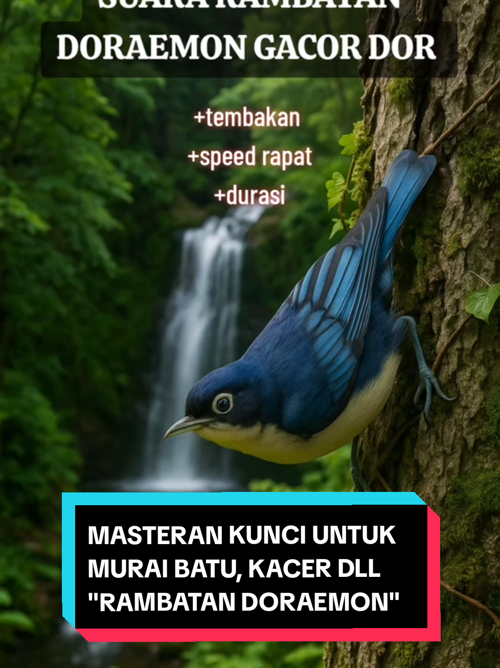 Masteran rambatan istimewa cocok untuk isian kuncian rapat dan kristal murai batu, cucak ijo, kacer, cendet, anis merah, anis kembang. #rambatan #masteranrambatan #gacor #murai #kicaumania 