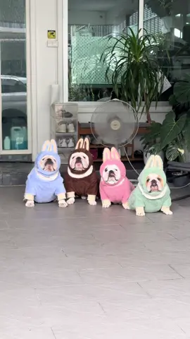Labullbull #labubu #foryou #fyp #bulldogsoftiktok #englishbulldog #viral #bulldogs #popmart #trending 