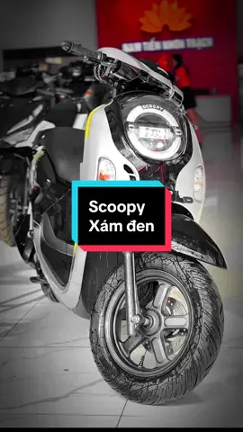 🌟 SCOOPY 2025 VỀ ĐẾN NAM TIẾN – NHƠN TRẠCH! 🛵 Honda Scoopy 2025 – Mẫu Mới, Đời Mới, Khóa Chìa Truyền Thống 🔥 Duy nhất tại Nam Tiến – Nhơn Trạch, không nơi nào có! ✨ Thiết kế trẻ trung – Siêu tiết kiệm xăng – Giá cực mềm! 📍 720 Hùng Vương, Thị Trấn Hiệp Phước, Nhơn Trạch, Đồng Nai 📞 Liên hệ: 0968 133 771 để giữ xe & lái thử ngay hôm nay! #Scoopy2025 #HondaScoopy #XeGaDep   #NamTienNhonTrach #XeMoiVe #ScoopyMoi   #XeGaDongNai #XeGaTrend #TikTokXe   #XeScoopy #XeGa2025 