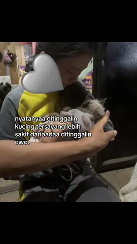 menurut akuu yaaa #kucing #oleoo 