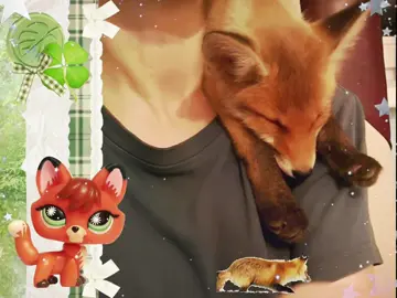 fox ! #fox #foxes #foxesoftiktok #moodboard #moodboardaesthetic #moodboardedit #silly #fyp #girlblogger 
