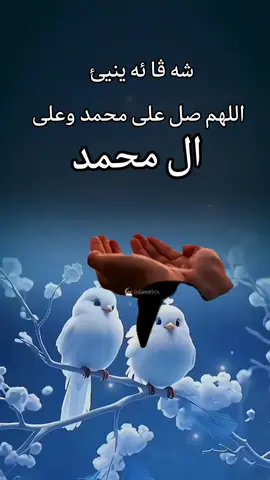 #CapCut #صلي_علي_النبي_محمد_صلي_الله_عليه_وسلم #