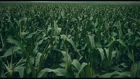 Interstellar#edit #edits #editing #interstellar #interstellarmovie #interstellaredit #interestellarpiano #space #editaudio